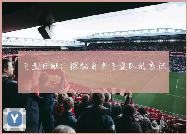飞盘巨献：探秘南京飞盘队的意识
