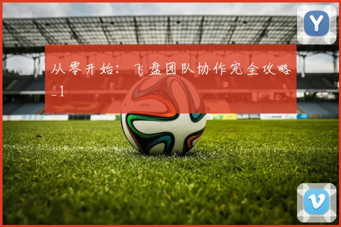 从零开始：飞盘团队协作完全攻略_1