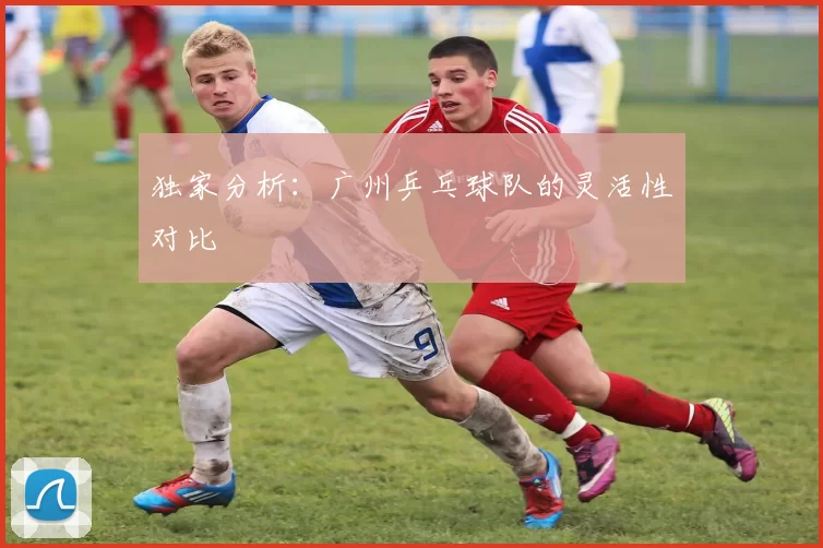 独家分析：广州乒乓球队的灵活性对比
